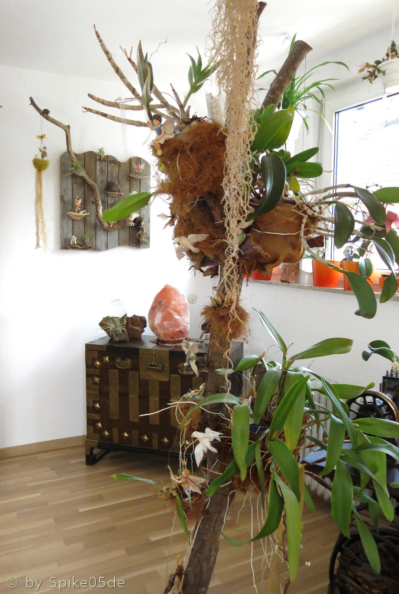 Orchideenbaum Flower Fairy Wand