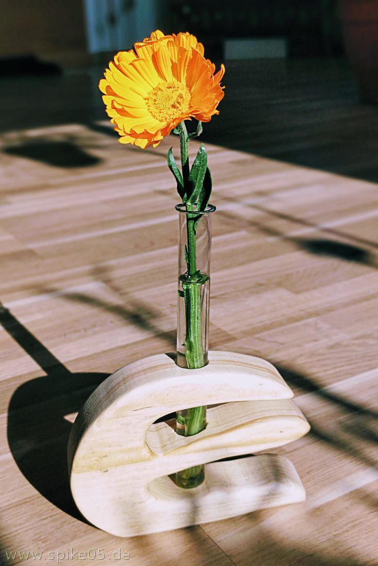 Vase aus Holz mit Reagenzglas DIY