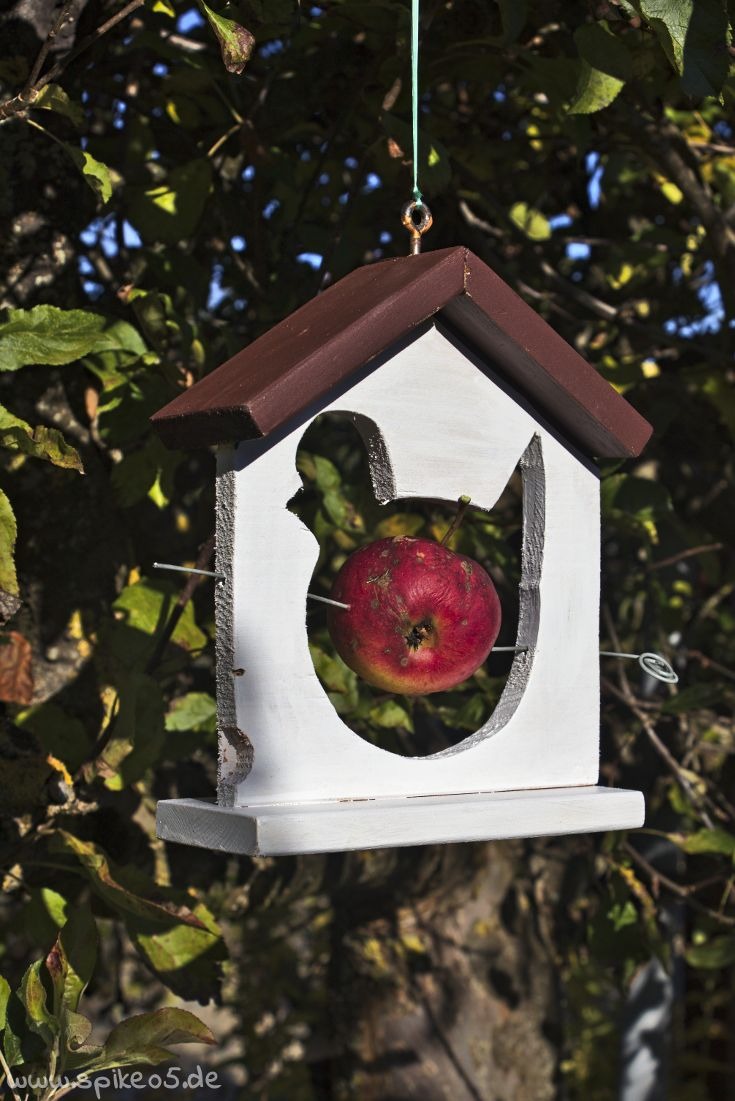 Futterstation Vogelhaus Apfel Meisenknödelhalter DIY selber machen